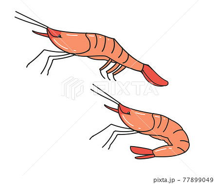 ホッコクアカエビ(甘えび) ホッコクアカエビ(甘えび) 77899049