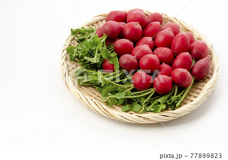 二十日大根 77899823