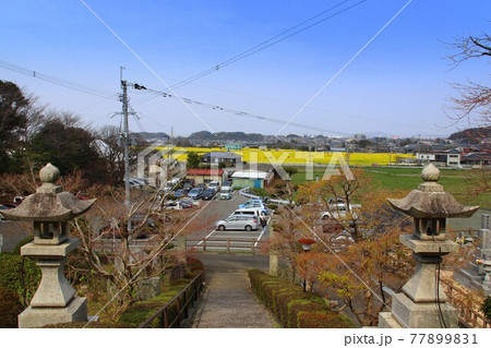 古賀市の医王寺から見た筵内菜の花公園 古賀市の医王寺から見た筵内菜の花公園 77899831