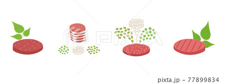 Plant based meat set. Meatless burger patty with green leaves and ingredients such as mung beans, brown rice and pea. Vegan organic food. Vector flat illustration Plant based meat set. Meatless burger patty with green leaves and ingredients such as mung beans, brown rice and pea. Vegan organic food. Vector flat illustration 77899834