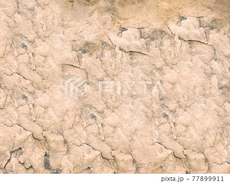 stone texture stone texture 77899911
