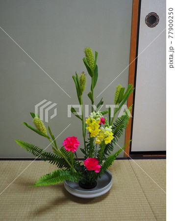 生け花 作品 生け花 作品 77900250