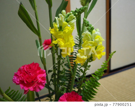 生け花 作品 生け花 作品 77900251