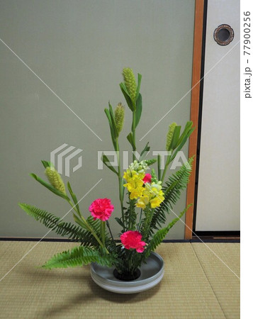 生け花 作品 生け花 作品 77900256