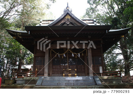 磯部八幡宮にて（神奈川県相模原市南区） 77900293