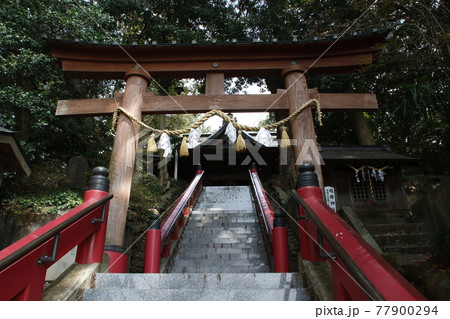磯部八幡宮にて（神奈川県相模原市南区） 77900294