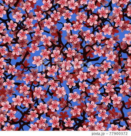 Seamless pattern with blossoming Japanese cherry sakura branches for fabric, packaging, wallpaper, textile decor, design, invitations, print, gift wrap, manufacturing. Pink flowers on cyan background. 77900372