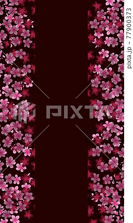 Vertical Floral greeting banner with beautiful pink blossom flowers branch Sakura.Buruny colors Background with copy space on Cherry Twig In Bloom.Postcard good for wedding invitation,Women day,Mother 77900373