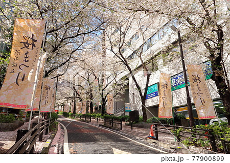 【渋谷区】渋谷桜丘町 さくら坂 【渋谷区】渋谷桜丘町 さくら坂 77900899