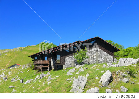 快晴下の四国カルスト（天狗高原） 77900903