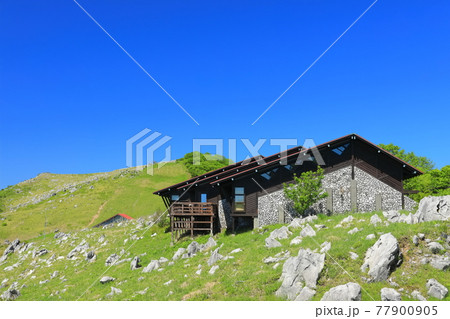 快晴下の四国カルスト（天狗高原） 77900905