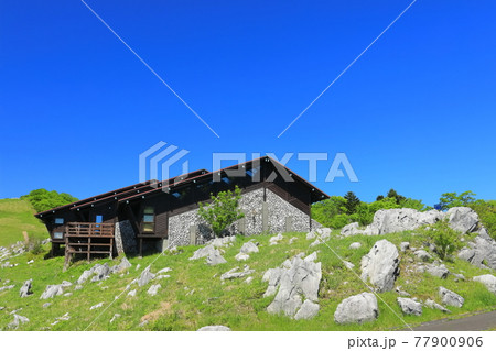 快晴下の四国カルスト（天狗高原） 77900906