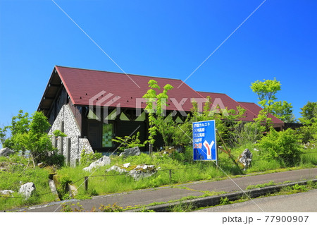 快晴下の四国カルスト(天狗高原) 快晴下の四国カルスト(天狗高原) 77900907