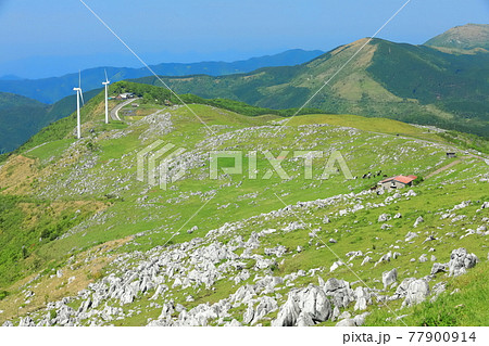 快晴下の四国カルスト（五段高原から見た姫鶴平） 77900914