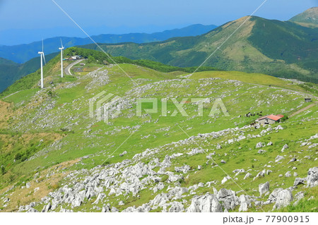 快晴下の四国カルスト（五段高原から見た姫鶴平） 77900915