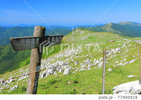 快晴下の四国カルスト(五段高原から見た姫鶴平) 快晴下の四国カルスト(五段高原から見た姫鶴平) 77900928