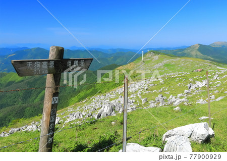 快晴下の四国カルスト（五段高原から見た姫鶴平） 77900929