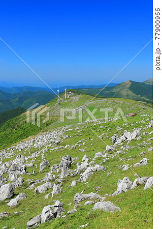 快晴下の四国カルスト（五段高原から見た姫鶴平） 77900966