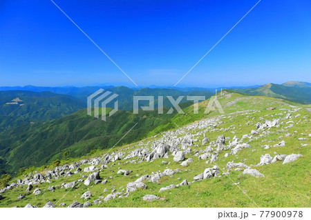 快晴下の四国カルスト（五段高原から見た姫鶴平） 77900978