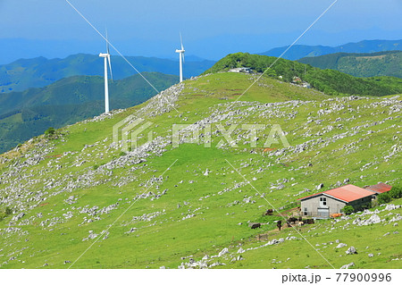 快晴下の四国カルスト（五段高原から見た姫鶴平） 77900996