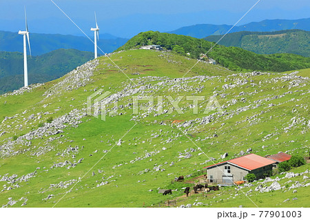 快晴下の四国カルスト（五段高原から見た姫鶴平） 77901003