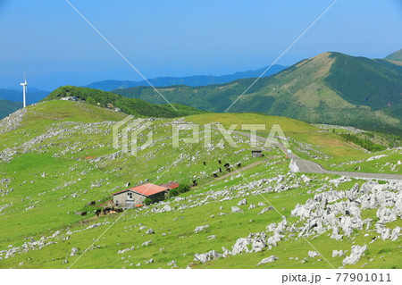 快晴下の四国カルスト（五段高原から見た姫鶴平） 77901011