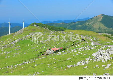 快晴下の四国カルスト（五段高原から見た姫鶴平） 77901013
