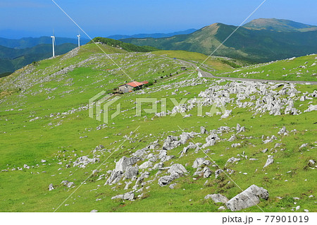 快晴下の四国カルスト（五段高原から見た姫鶴平） 77901019