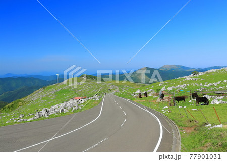 快晴下の四国カルスト絶景ロード 77901031