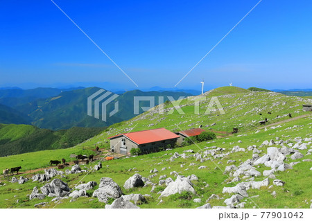 快晴下の四国カルスト（五段高原から見た姫鶴平） 77901042