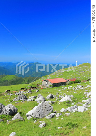 快晴下の四国カルスト（五段高原から見た姫鶴平） 77901048