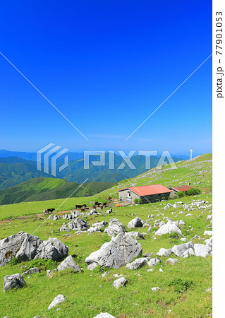 快晴下の四国カルスト（五段高原から見た姫鶴平） 77901053