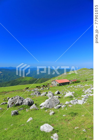 快晴下の四国カルスト（五段高原から見た姫鶴平） 77901055