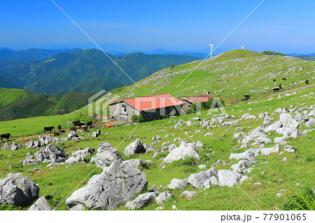 快晴下の四国カルスト（五段高原から見た姫鶴平） 77901065