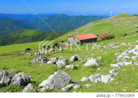 快晴下の四国カルスト(五段高原から見た姫鶴平) 快晴下の四国カルスト(五段高原から見た姫鶴平) 77901069