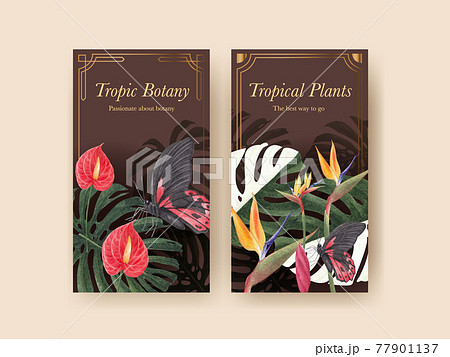 Instagram Template With Tropical Botany のイラスト素材