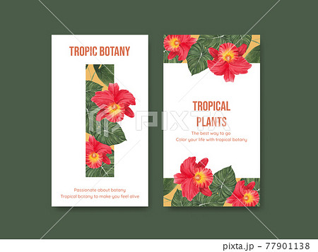 Instagram Template With Tropical Botany のイラスト素材