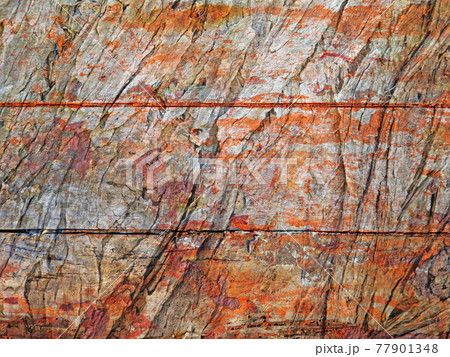 wood texture wood texture 77901348