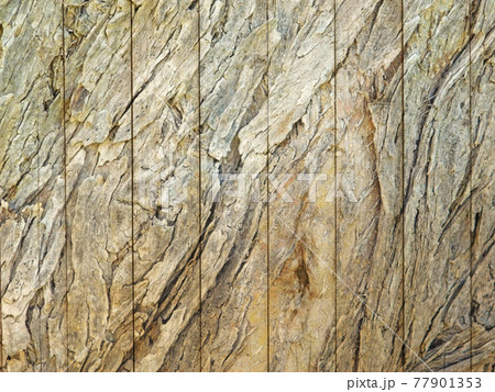 wood texture wood texture 77901353