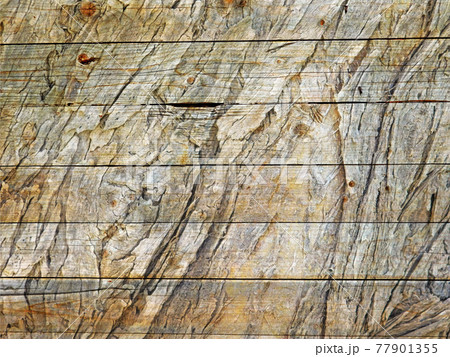 wood texture wood texture 77901355