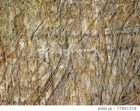 wood texture wood texture 77901358
