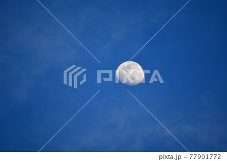 月は登る 77901772