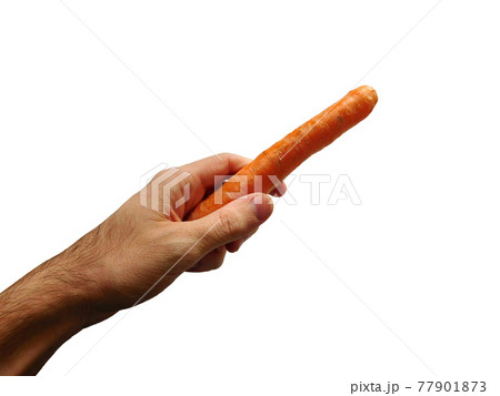 carrots carrots 77901873