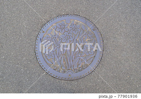 マンホール 兵庫県洲本市 マンホール 兵庫県洲本市 77901936