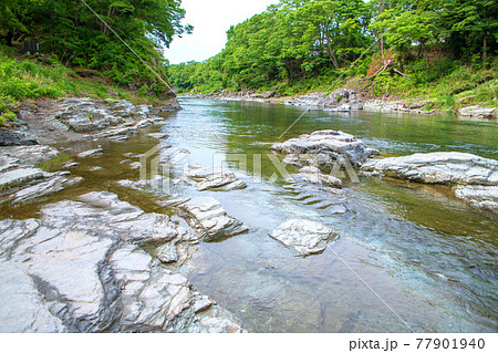 春 荒川 蓬莱島公園 金石渡し跡付近からの景色 春 荒川 蓬莱島公園 金石渡し跡付近からの景色 77901940