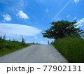 青空の下の木と自転車 77902131