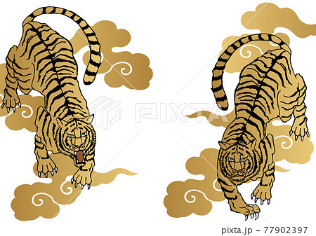 和柄の虎のイラスト 干支のクリップアート のイラスト素材