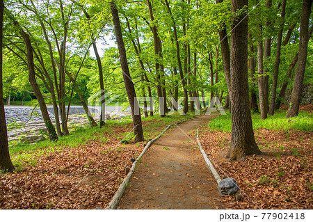 春　蓬莱島公園の景色 77902418