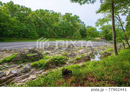 春　蓬莱島公園の景色 77902441