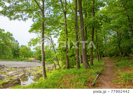 春　蓬莱島公園の景色 77902442